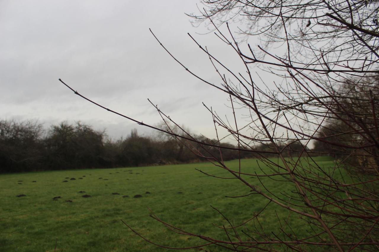 Shelford Lodge Trumpington Eksteriør bilde
